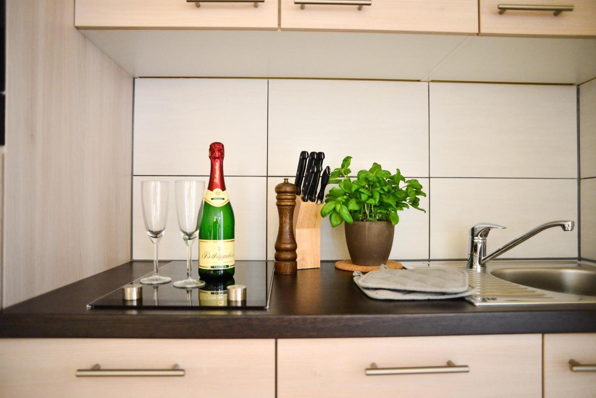 - Zoo Apartment *